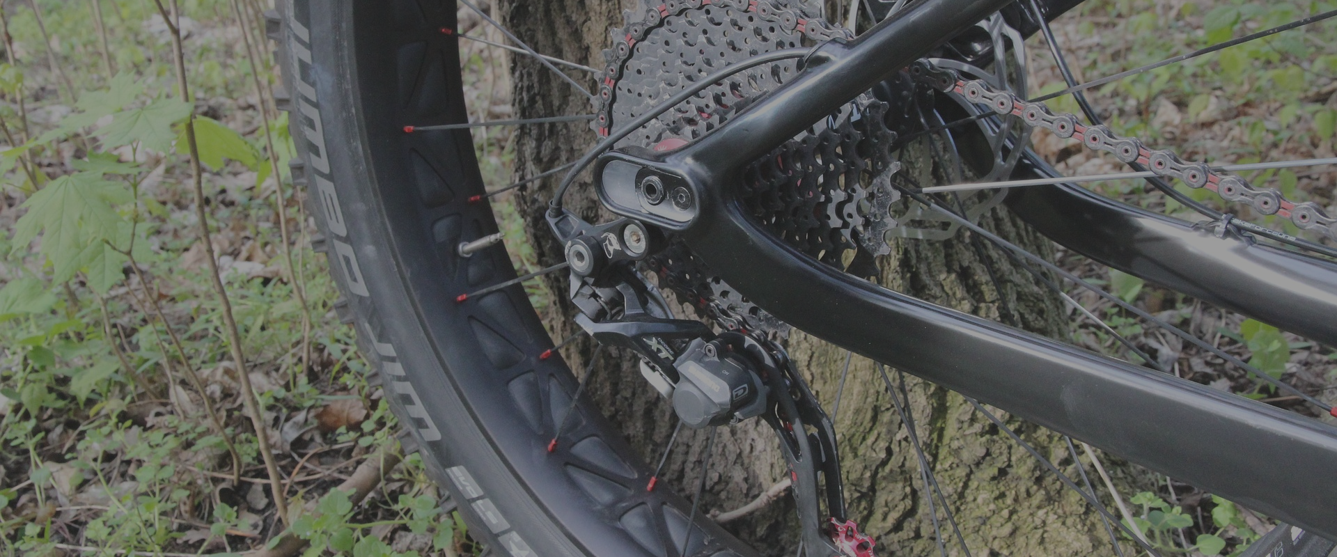 Old Men MTB