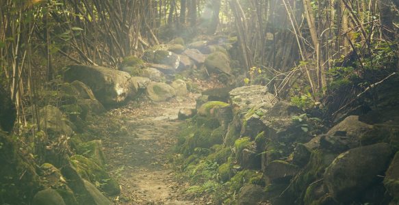 Trail-Kategorien