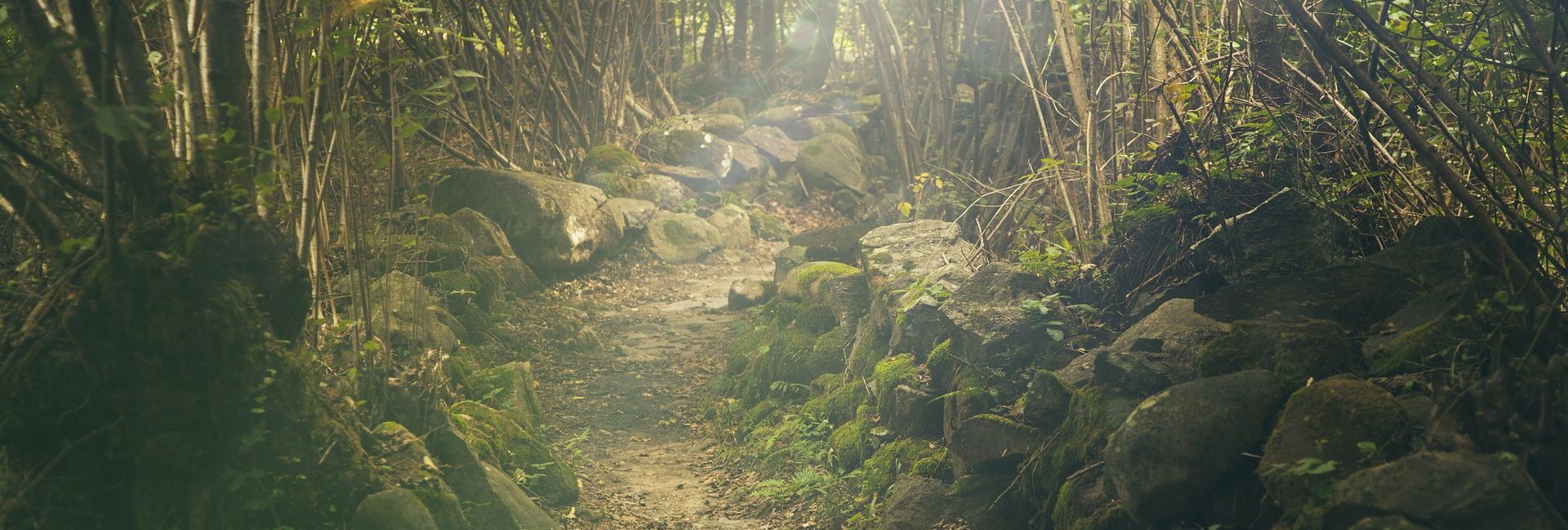 Trail-Kategorien