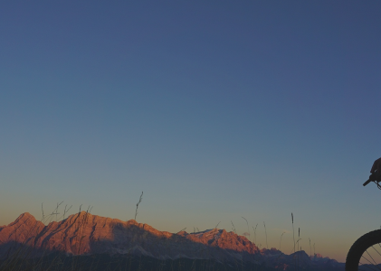 Bilder